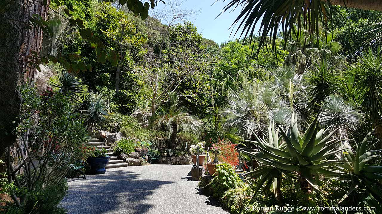 Botanischer Garten Giardini della Mortella Ischia (15)